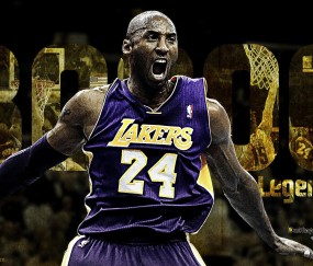 新手入门指南：Bsport手机版